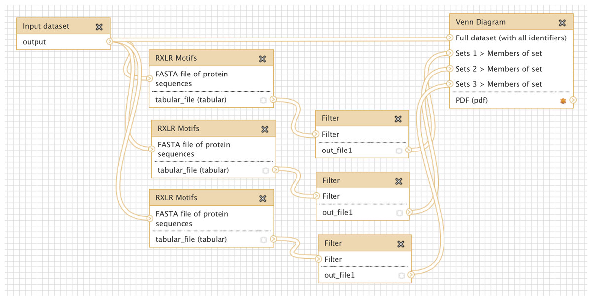 Galaxy workflow editor view of a Galaxy workflow that takes input data and passes it through a series of actions. The links between datasets and actions are shown as noodles on the diagram.