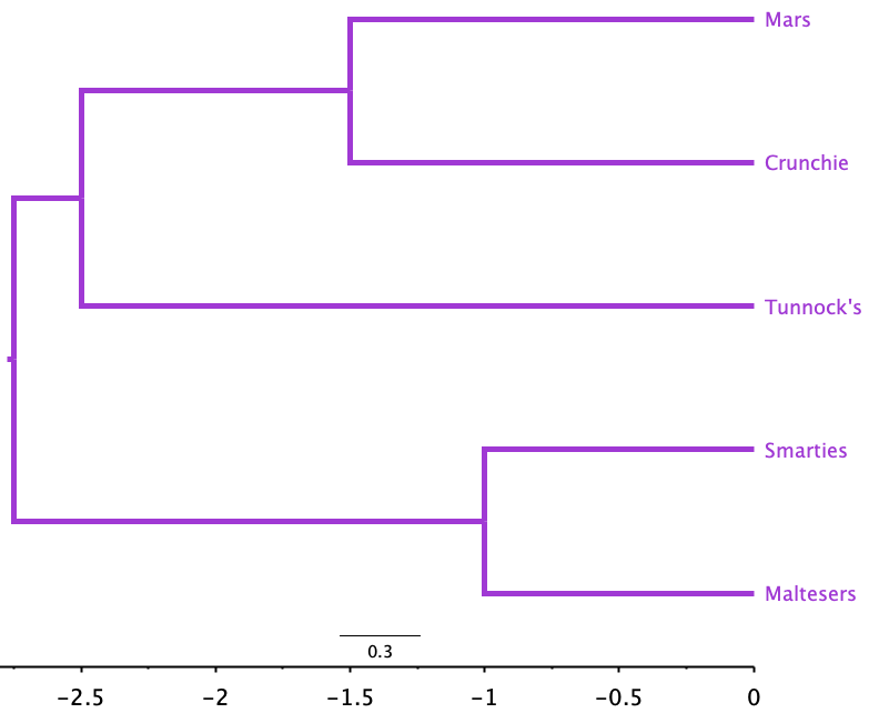 UPGMA tree calculated for the five chocolate varieties.