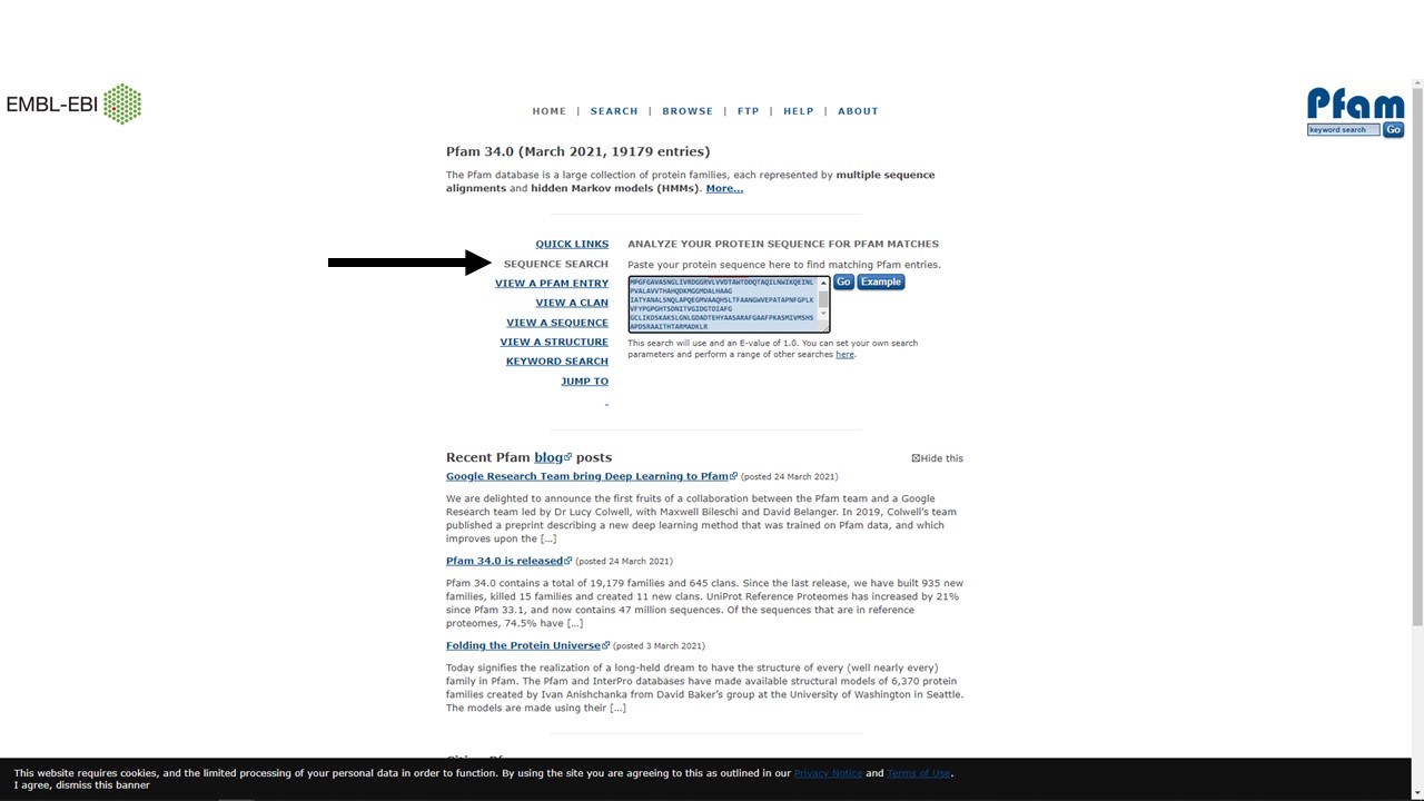 A Pfam sequence search using the NDM-1 amino acid sequence