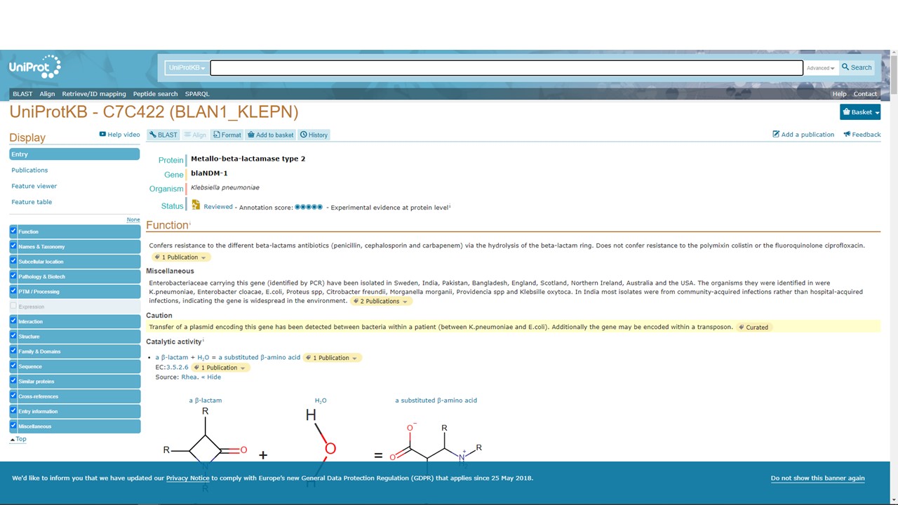 UniProt page for the K. pneumoniae NDM-1 protein