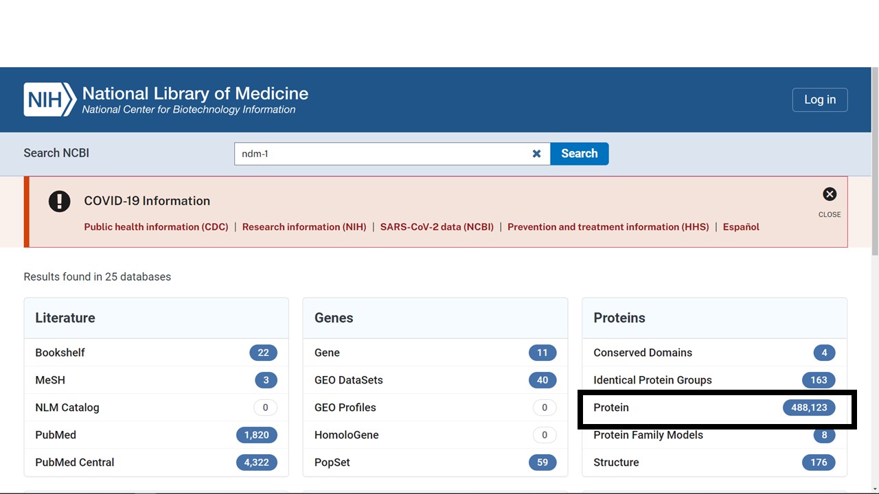 Results page for an NCBI search for ndm-1