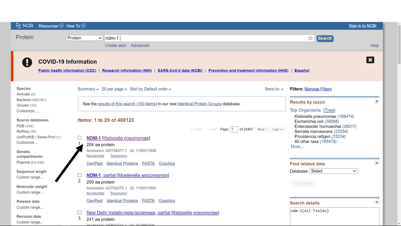 Protein database hits from an NCBI search for ndm-1