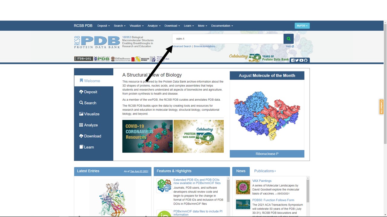 A PDB search for ndm-1
